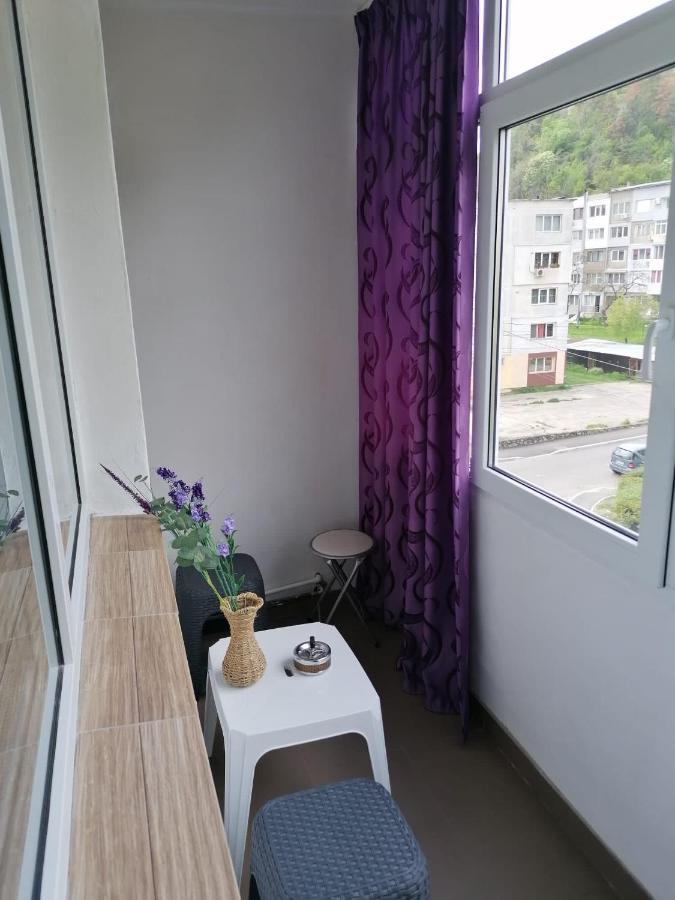 Orşova Apartament Alexia 아파트 외부 사진